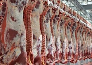 تولید سالانه گوشت قرمز به یک میلیون تن رسید
