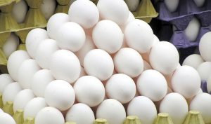 قیمت مصوب تخم مرغ طی ۲ سال گذشته تغییری نداشته است