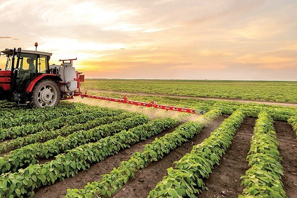 رشد ۴۳ درصدی صادرات ۲۰ قلم کالای کشاورزی در ۳ ماه ‌