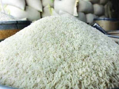 سال گذشته ۲.۵ میلیون تن برنج سفید در کشور تولید شد