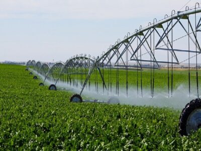 فراگیری کشاورزی دانش‌بنیان با ساخت سامانه‌ای ویژه برای آبیاری