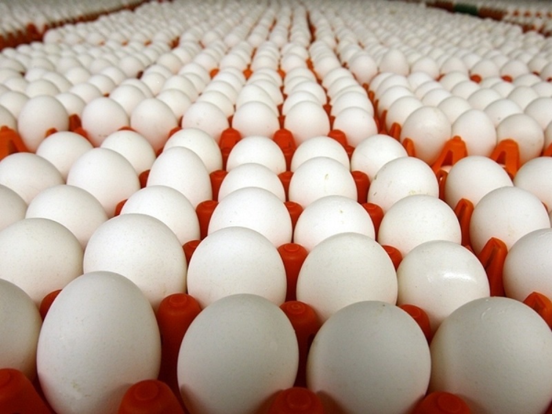صادرات بیش از ۱۳۶ هزار تن تخم‌مرغ از کشور طی سال گذشته