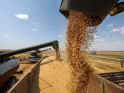 ذخیره راهبردی ۱۳۰ هزار تن گندم در مازندران