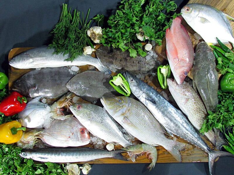 تولید ماهی گرم‌آبی به ۲۰۰ هزار تن رسید